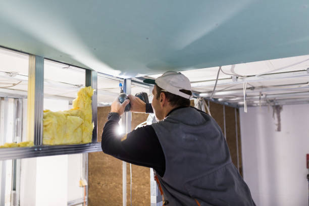 Best Fiberglass Insulation in La Presa, CA