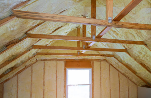 Best Geographic-Specific Insulation Services in La Presa, CA