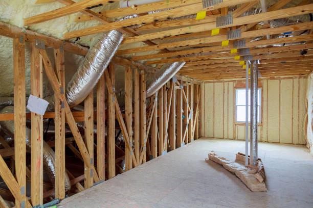 Best Spray Foam Insulation in La Presa, CA