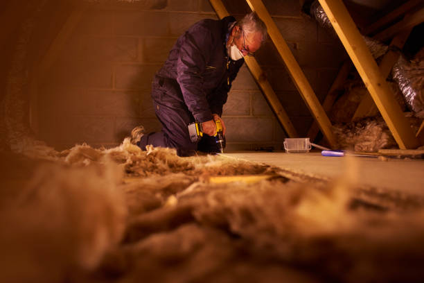 Best Eco-Friendly Insulation in La Presa, CA