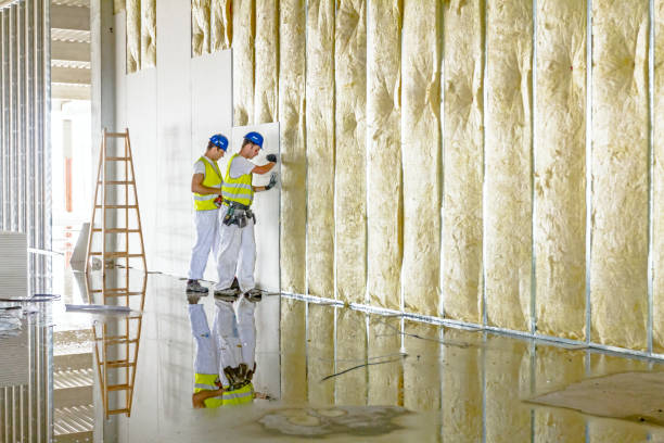 Types of Insulation We Offer in La Presa, CA